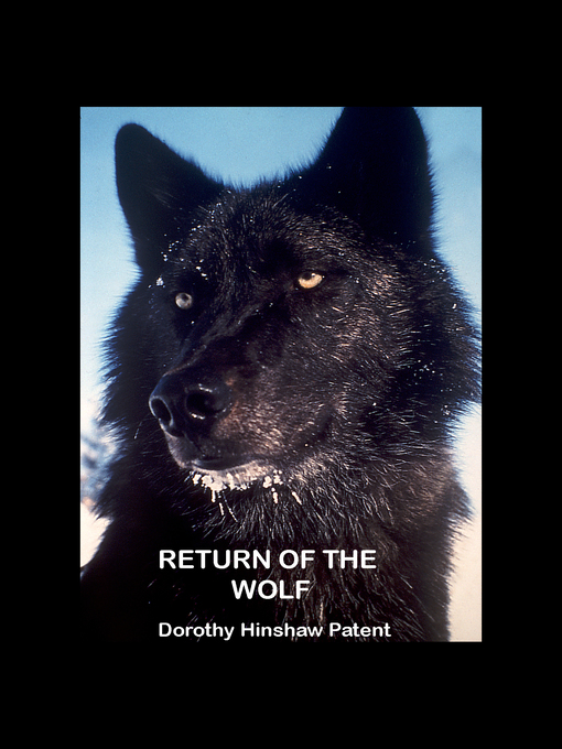 Title details for Return of the Wolf by Dorothy Patent - Available